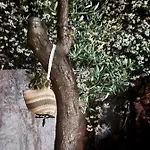 Hébergement de vacances Shuko Saranda