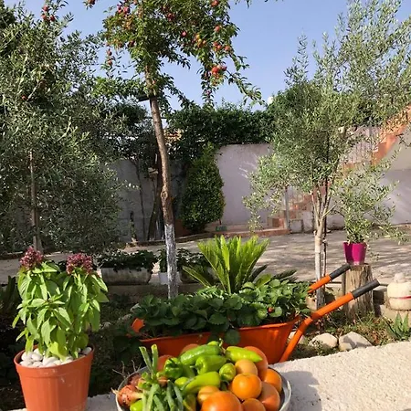 Shuko Vakantiehuis Sarandë